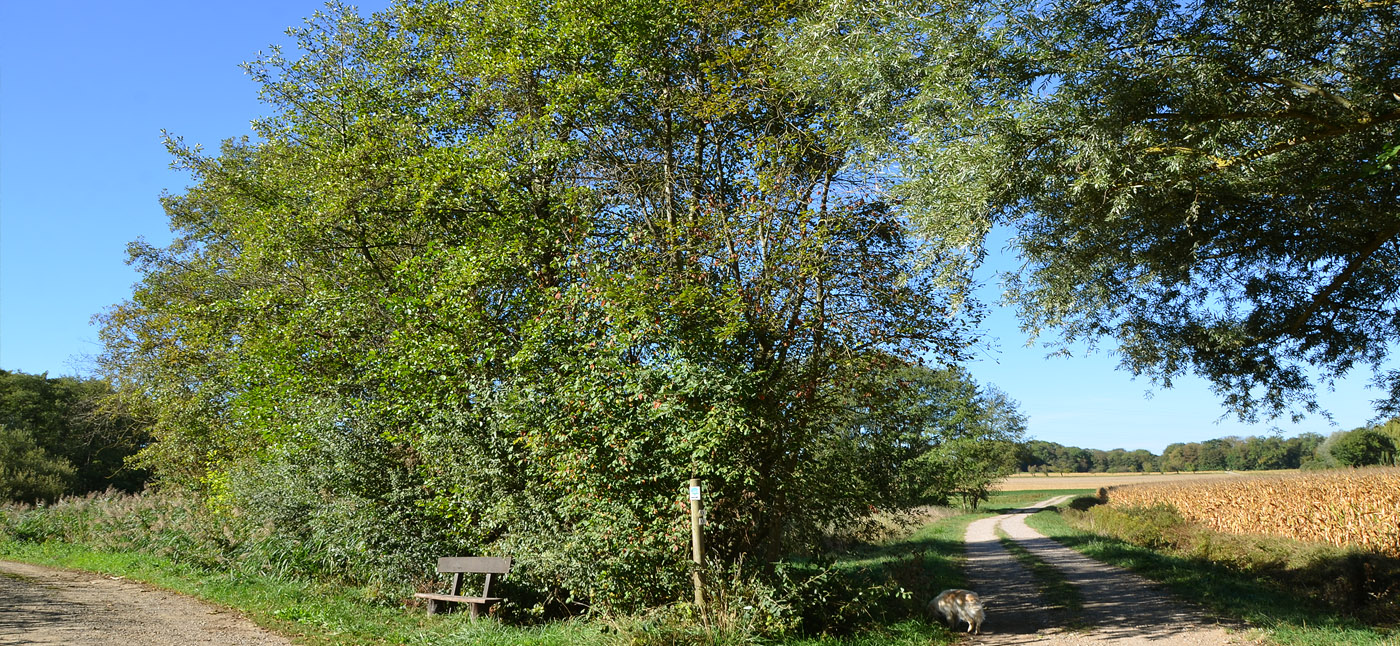3. A la patte d'oie, prendre à droite